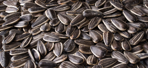 Quadro em tela Background of sunflower seeds