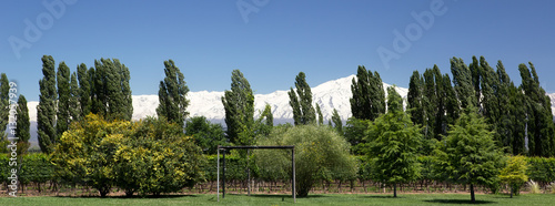 Andes & Vineyard Scene, Lujan de Cuyo photo