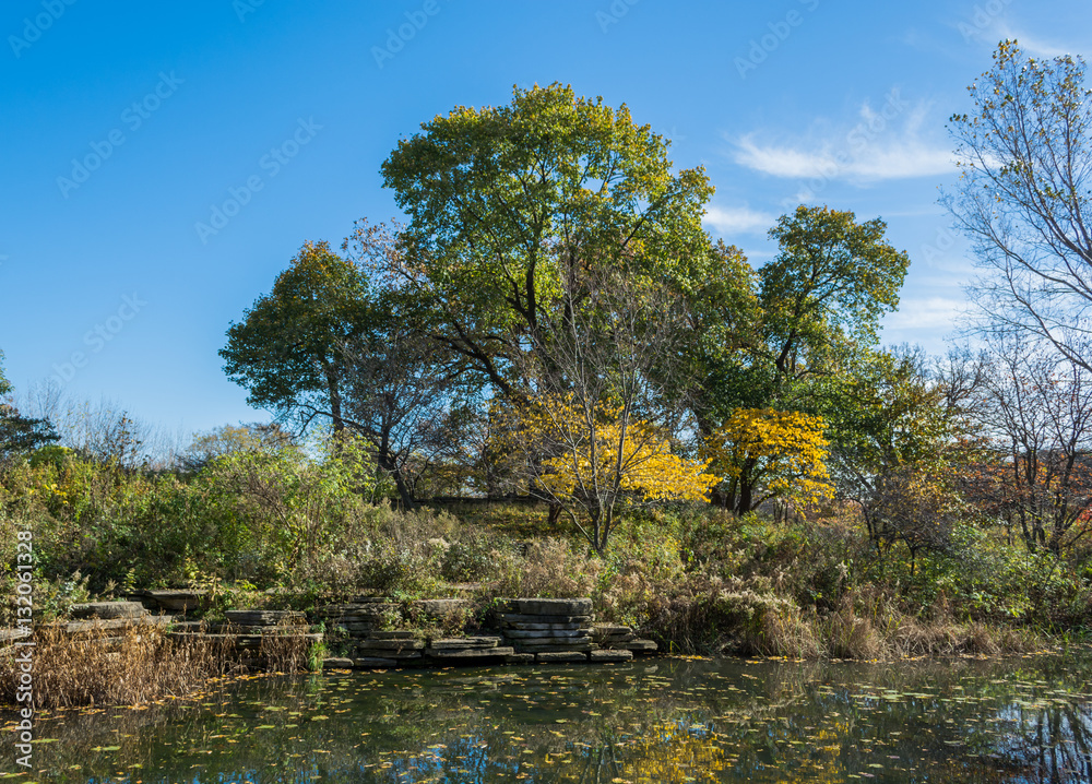 Beautiful Garden of Trees