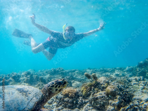 Turtle snorkeling snap