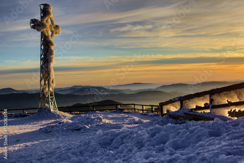Fototapeta Naklejka Na Ścianę i Meble -  Tarnica