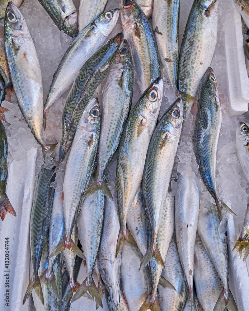 Obraz premium fresh horse mackerel fish at the local market