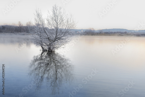Winter landscape at lake with tree
