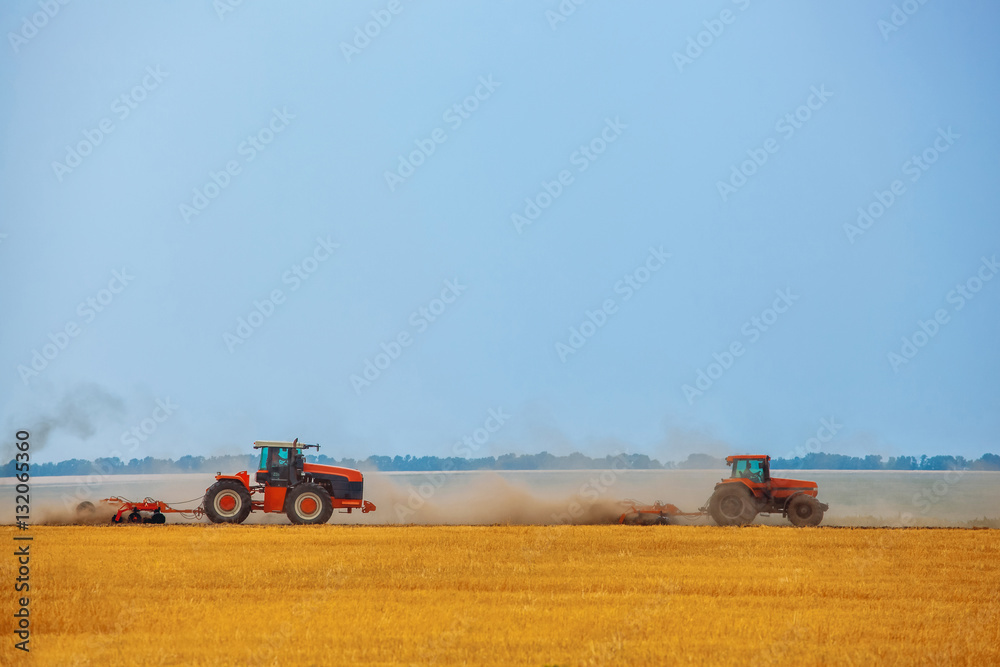 Fototapeta premium Summer day two tractors to plow, plow the soil on sloping, cornfield. Agricultural land treatment before planting.