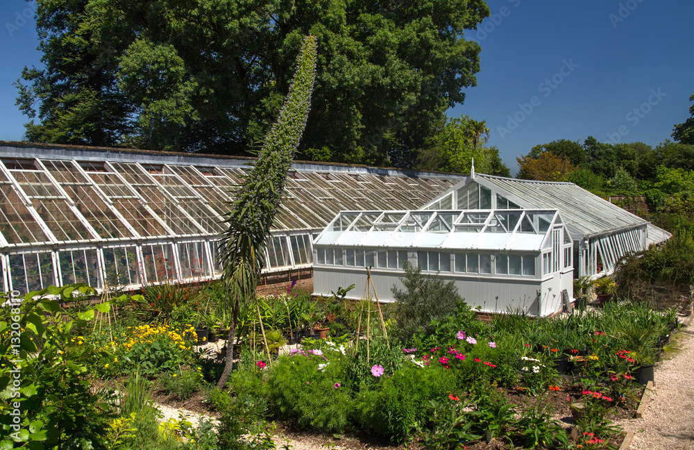 glass greenhouse in an English garden. Devon. UK