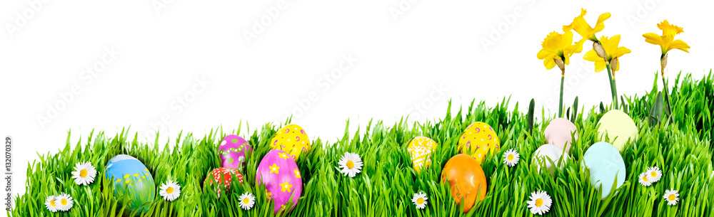 Nests of decorated Easter eggs, nestled in grass and daisies with daffodils Nests of decorated Easter eggs, nestled in grass and daisies with daffodils