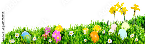 Nests of decorated Easter eggs, nestled in grass and daisies with daffodils