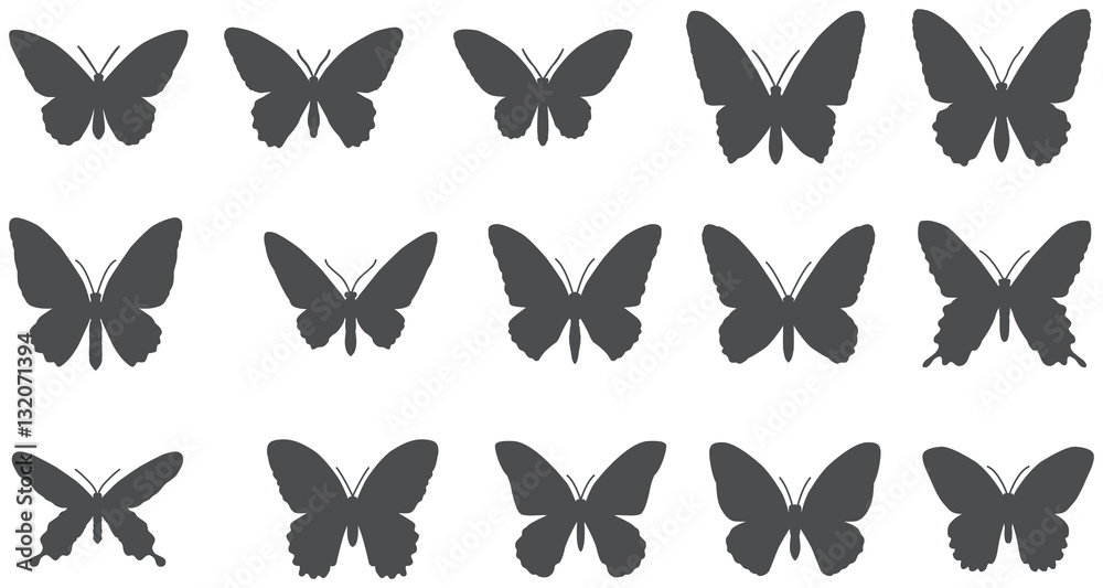 Set of silhouettes of butterflies. Set of silhouettes of butterflies.