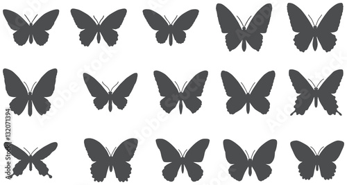 Set of silhouettes of butterflies.