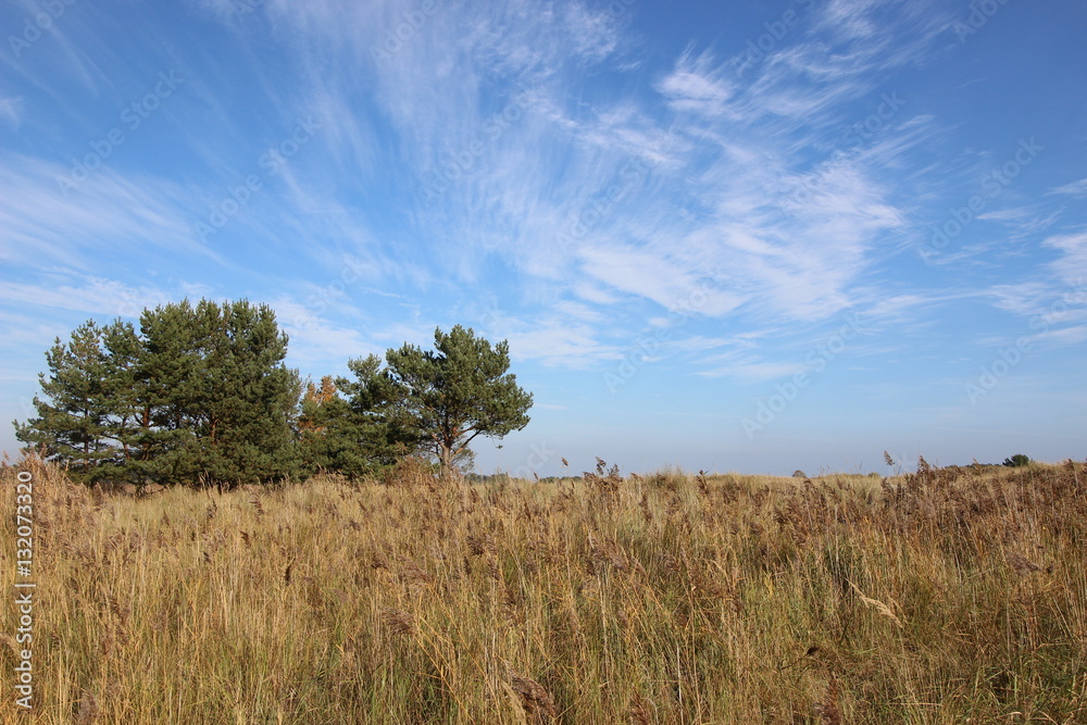 Ostsee Fischland Darß Zingst