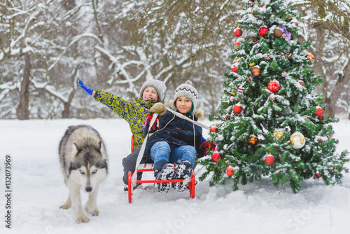 Happy boys sledding near christmas tree and dog in winter day outdoor