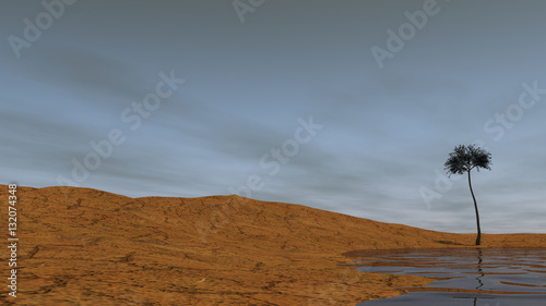 3d illustration of the desert shore landsxape with araucaria tree