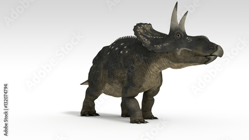 3d illustration of the diceratops isolated on white