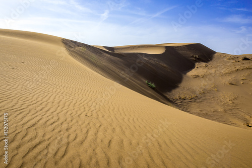 Sand dunes of Maranjab Desert in Iran