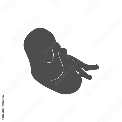 Pregnancy. Fetal growth from fertilization. Embryo development. Human fetus