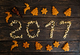 Flat lay of 2017 New Year sign with jasmine flower buds and ginger cookies on a dark wooden background