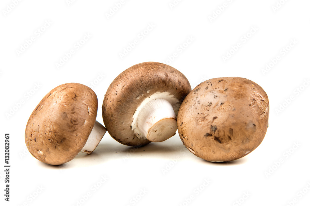 Fresh white mushrooms isolated on a white background Fresh white mushrooms isolated on a white background