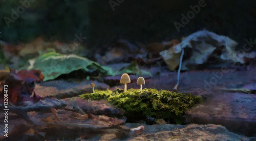 Painting of Mushrooms and Moss © vincent