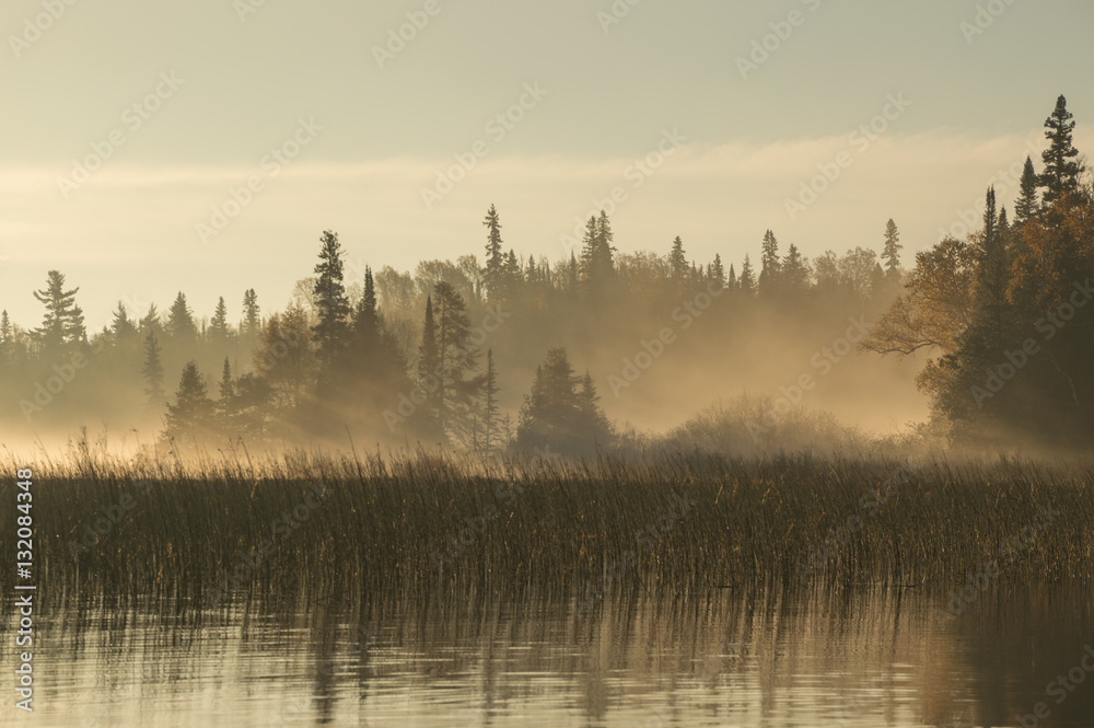 Fototapeta premium Świt nad rzeką w północnym Ontario