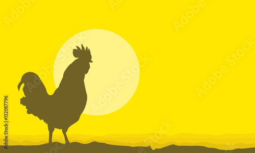 Silhouette of rooster scenery on yellow backgrounds