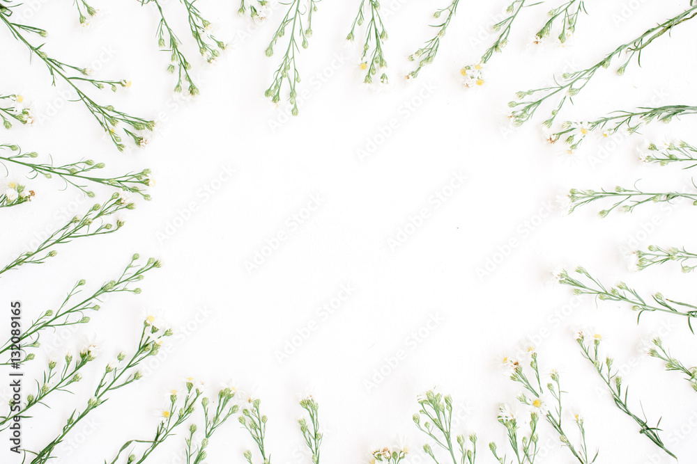 Wildflowers frame on white background. Flat lay, top view. Wildflowers frame on white background. Flat lay, top view.
