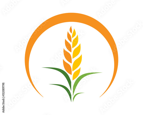 wheat harvest icon