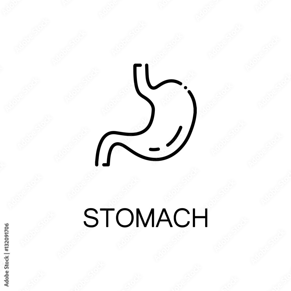 Stomach flat icon or logo for web design. Stomach flat icon or logo for web design.