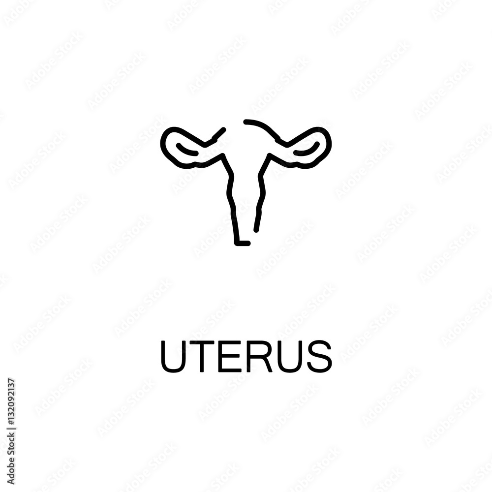 Uterus  flat icon or logo for web design.