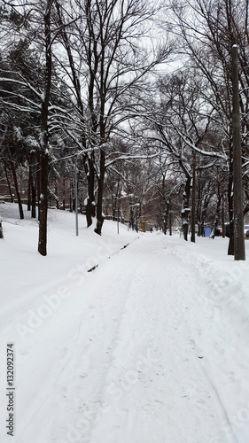 road in winter park