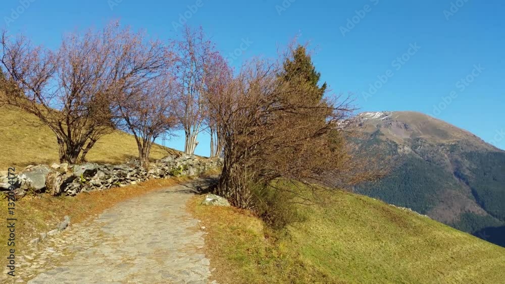 Panorama of woods around to the path to the Cardeto natural lakes during the autumn and winter time with fantastic blue sky. Orobie Alps. Italy Panorama of woods around to the path to the Cardeto natural lakes during the autumn and winter time with fantastic blue sky. Orobie Alps. Italy