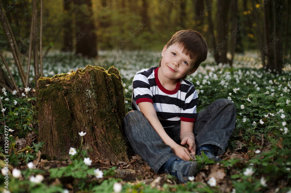 little boy in forest on flowers field little boy in forest on flowers field