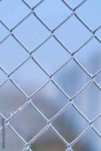 Metal fence covered by frost