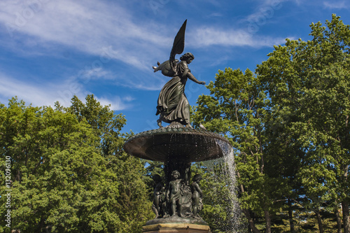Bethesda Fountain in Centra...