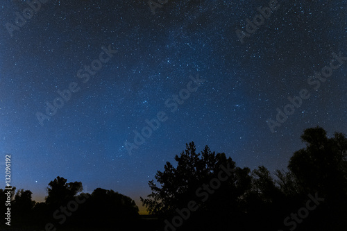 Millions of stars above the treetops. Night background.