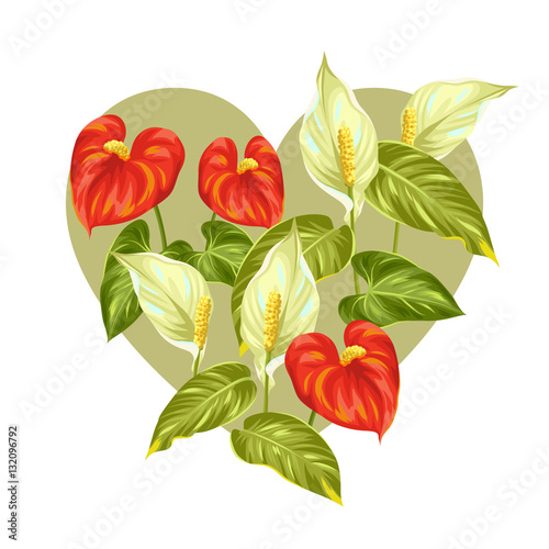 Greeting card with flowers spathiphyllum and anthurium