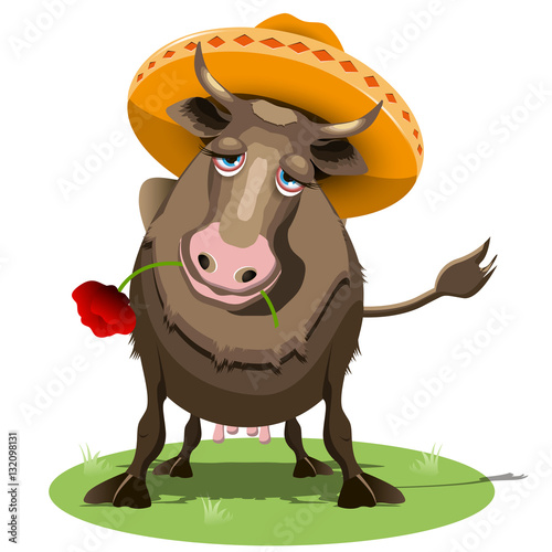 Cow in Sombrero