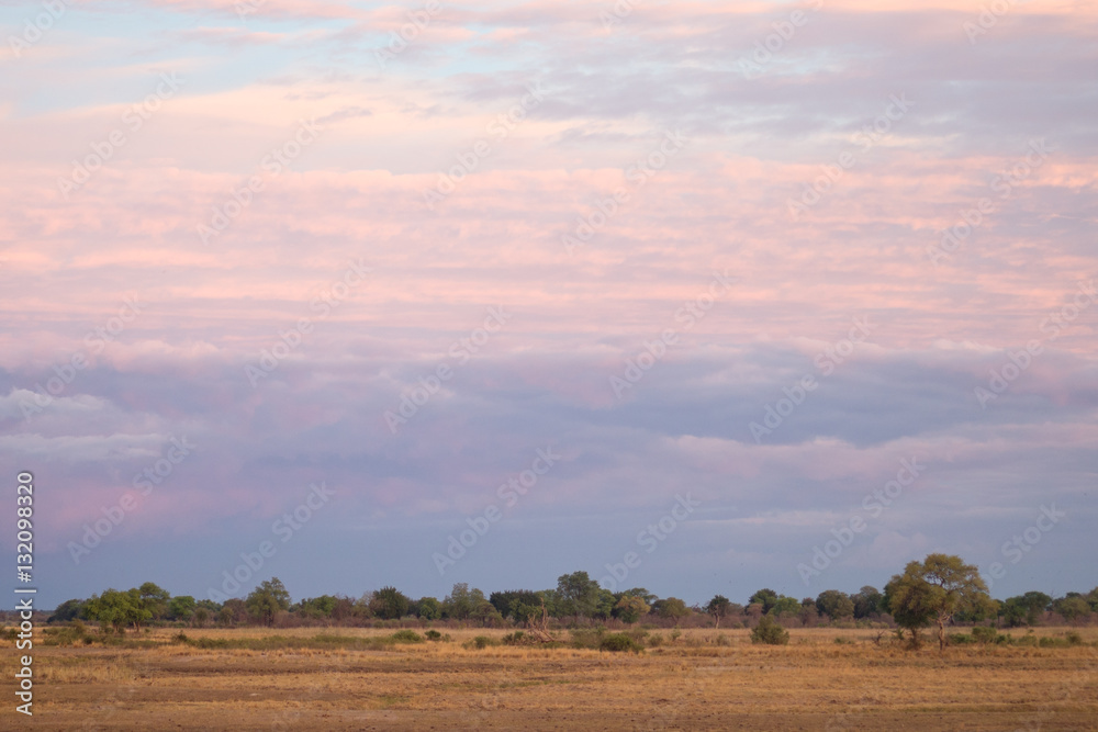 morning in savanna