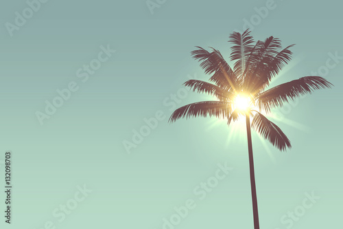 Tropical palm tree silhouette against bright sunlight