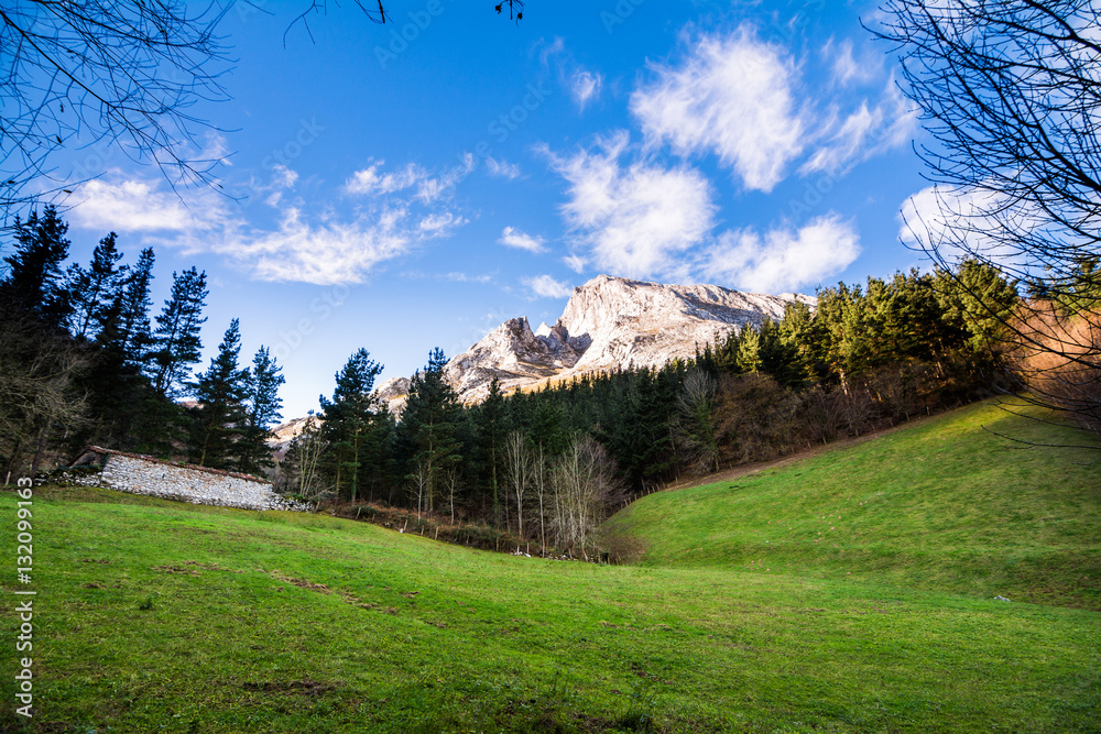 nature landscape at basque country countryside