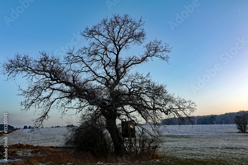 Hochsitz am Baum mit Blick über Felder photo