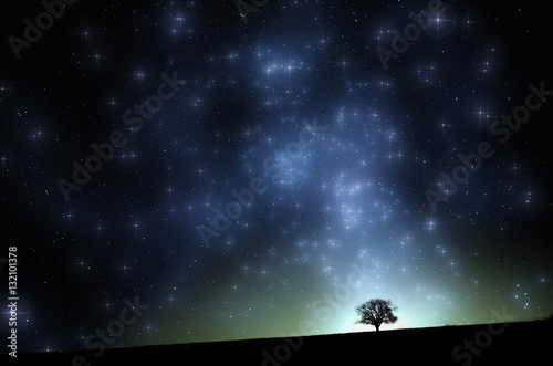 Surreal night landscape. Tree on hill with stars and milky way on the vivid sky © andreiuc88