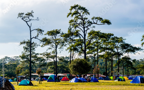 3 JAN 2017 thailand, loei, at Phukradueng national park, people are camping at there for vacation. © tanapipat