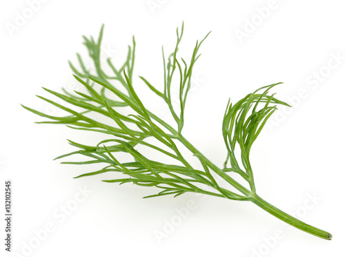 Fresh dill