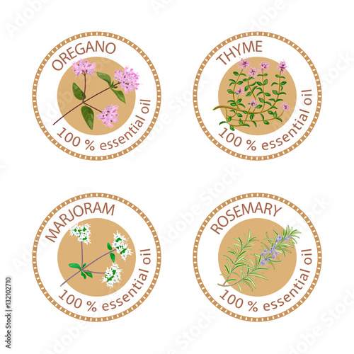 Set of essential oils labels. Oregano, Thyme, marjoram, rosemary