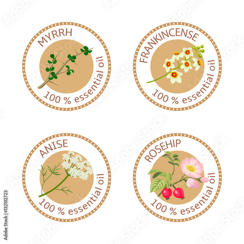 Set of essential oils labels. Myrrh, frankincense, anise, rosehip