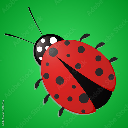 Ladybug