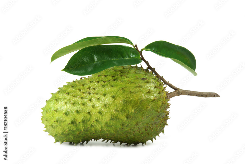 Foto Soursop, Prickly Custard Apple.
