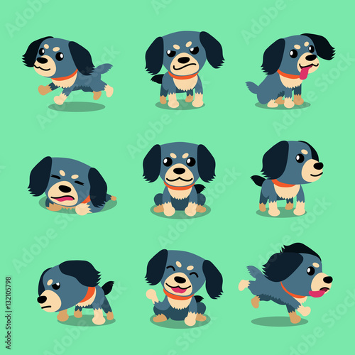 Cartoon character tibetan spaniel dog poses set
