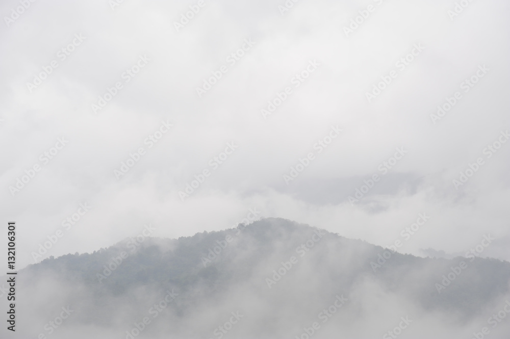 Fog after rain, Mountain landscape view