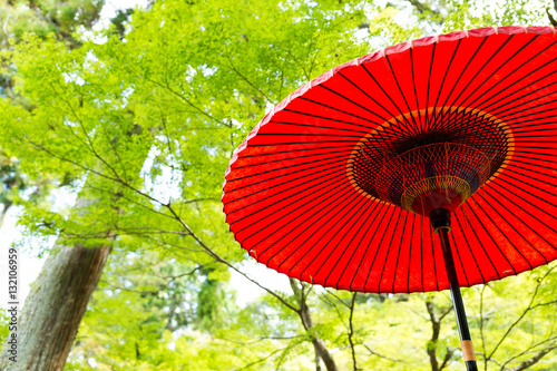 Red umbrella with green tree